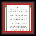 Ghazal Punjabi 09 * 22.03.2008 * 408 x 620 * (44KB)